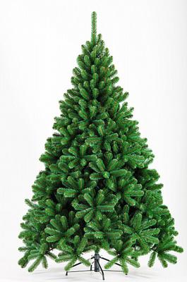 Crystal Trees     180.